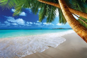 Fototapete Strand und Meer Palmen